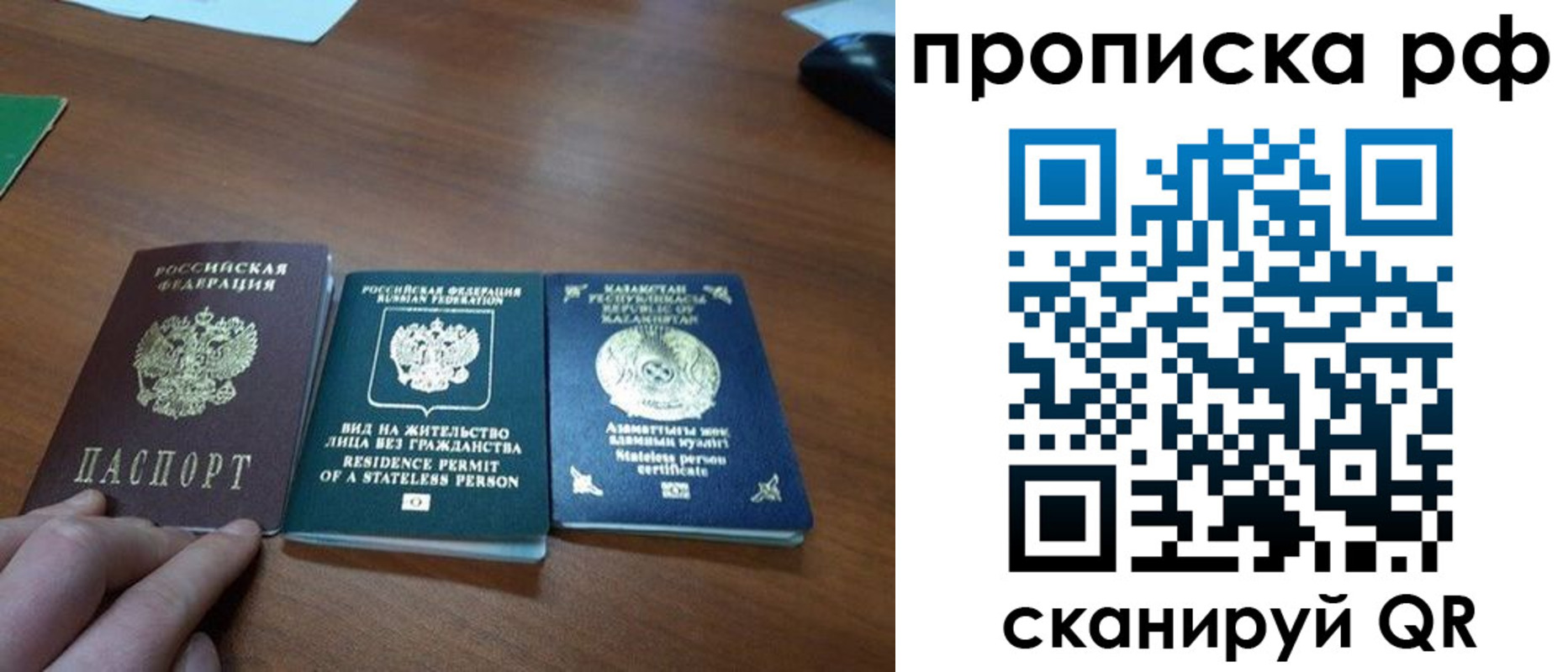 прописка поиск в Коле