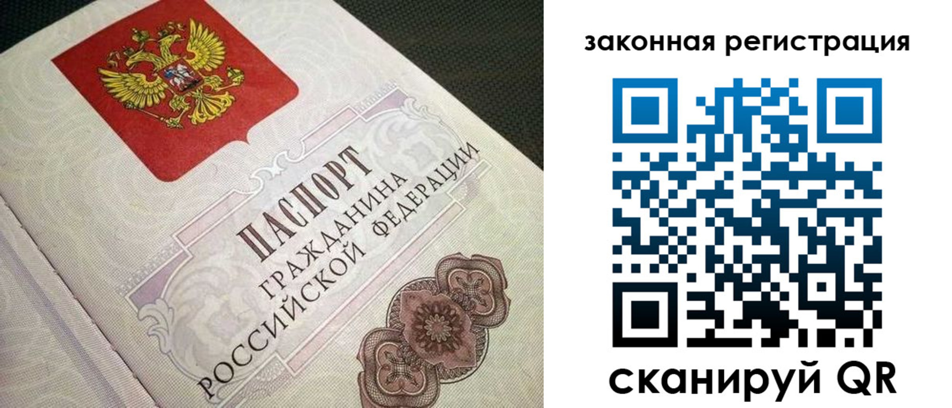 прописка в Коле